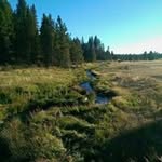 @bobhoodoo - Instagram