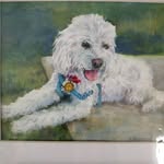 Bob Hoover - @bobhoover1950 - Instagram