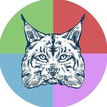 Bishop O'Byrne House Council - @bob_housescssd - Instagram