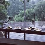 Bob House - @dr.bobpark01 - Instagram