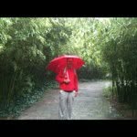 Bob House - @bobhouse99 - Instagram