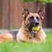 Robert Huber - Facebook