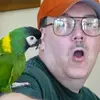 bobhulsey750 - @bobhulsey750 - TikTok