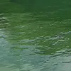 aa - @iacobbucci - TikTok