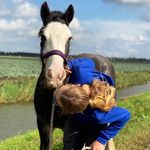 ~ 👑King-Bob👑 the Irish Cob and ⭐Skittle⭐ the Shetlander 💗 - @king_bob_the_tinker - Instagram