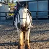 bob Ives - @bob.ives2 - TikTok