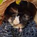 Robert Janik - Facebook