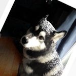 bob jeffries - @jeffriesb87 - Instagram