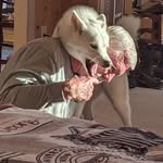 Bob Jernigan - @jernigan386 - Instagram