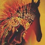 Rob Ironhorse Jette - @jette1482 - Instagram