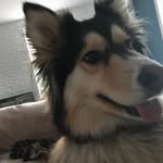 Robert Jetté - @robert.jette.10 - Instagram