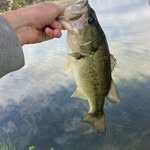 Bob_ jimmy - @co.llin8273 - Instagram