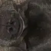 Bob Jon - @bob.jon26 - TikTok