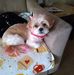 Bob Joy - Facebook