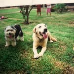 Robert Kahler - @bob_kahler55 - Instagram
