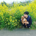 강경태 - Bob - @bob_full_kang - Instagram