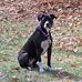 Bob Kasper - Facebook