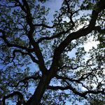 Bob Keeley - @bobkeeley8 - Instagram