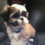 Bob Keenan - @bobkeenan8393 - Instagram