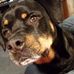 Bob Kees - Facebook