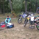 Bob Kees - @malcolmrton_0_avmxe - Instagram