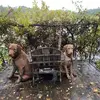 Bob Keese - @bob.keese - TikTok