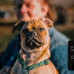 Bob Kellum - @kellum.bob - Instagram