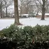 Bob Kellums - @bob.kellums - TikTok