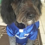 Bob Kiley - @bob.kiley.77 - Instagram