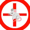 Bob Kiley/Rat - @bob_kiley_rat - TikTok