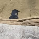 Bobkind - @bobkind83 - Instagram