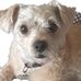 Bob Kleeb - Facebook