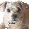 bobkleeb - @bobkleeb - TikTok