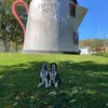 bob - @bobklemm - TikTok