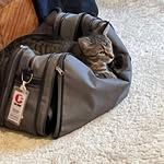Bob Klemm - @klemm_bob - Instagram