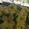  bob - @bobkorten - TikTok