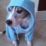 Bob Krell - @bobkrell - Instagram