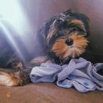 boby_kummer - @boby_kummer - Instagram