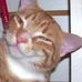 Bob Kush - Facebook