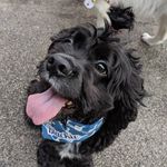 blackie - @boblackhole - Instagram