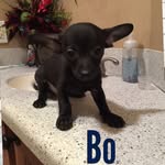Bo Blake - @bo_blake - Instagram
