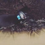 Bo Blake Baldwin - @_bo_blake_ - Instagram