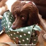 Bob Lake - @relaxingbob1975 - Instagram