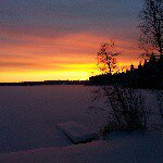 Bob Lambert - @bob.lambert - Instagram