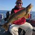 Bob Lambert - Facebook