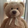 bob_lamson - @bob_lamson - TikTok