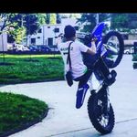@bobo_des_landes - Instagram