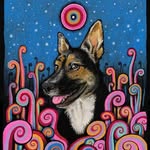 Bob Langille - @langillebob - Instagram