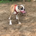 Bob Langille - @bob_langille - Instagram
