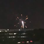 Bob - @bobl.angston - Instagram